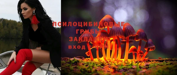 гидра Липки